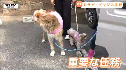 特集】セラピードッグが促す心の成長 教育現場でも効果が期待される