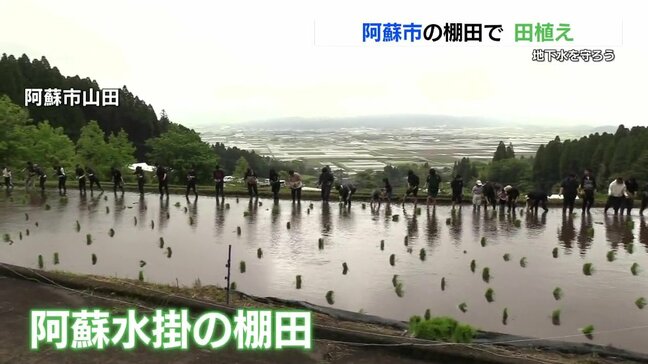 大切な地下水を育もう　阿蘇の棚田でボランティアたちが田植え|TBS NEWS DIG
