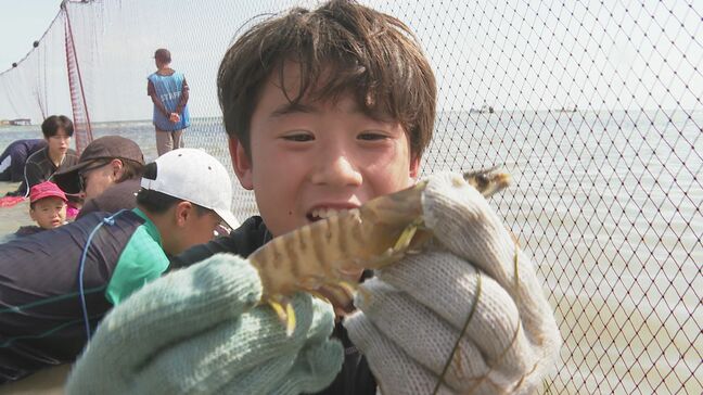 優勝は40分で77匹！「えび狩り世界選手権」　クルマエビ養殖発祥の地の恒例行事|TBS NEWS DIG