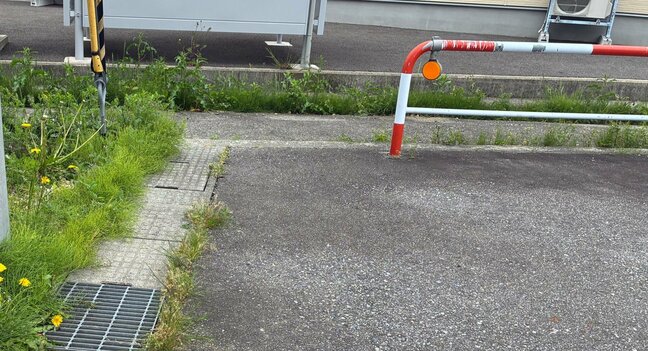 「かまれて出血している」用水からクマ 飛び出し…散歩中の40代女性 顔、頭、首に引っかき傷の「中等症」一夜明けて猟友会などが警戒 富山 |TBS NEWS DIG