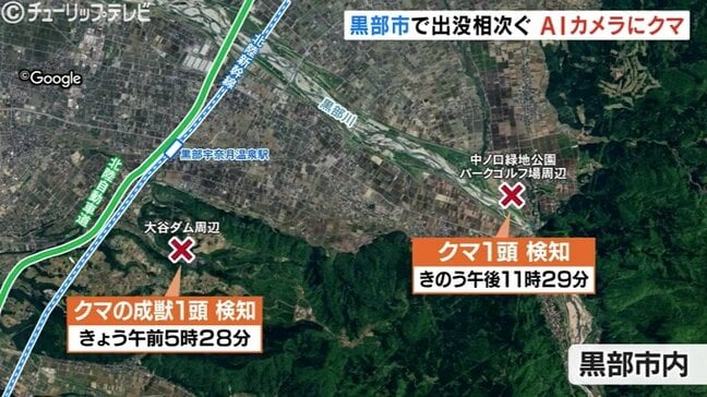 深夜のパークゴルフ場にも…黒部市でクマ出没情報相次ぐ AIカメラが捉えた成獣の姿 市が警戒強化 富山」・黒部市|TBS NEWS DIG