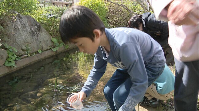 「元気な成虫になって」福岡市の大学　キャンパスにホタルの幼虫を放流　5月下旬には羽化し光り始める予定|TBS NEWS DIG