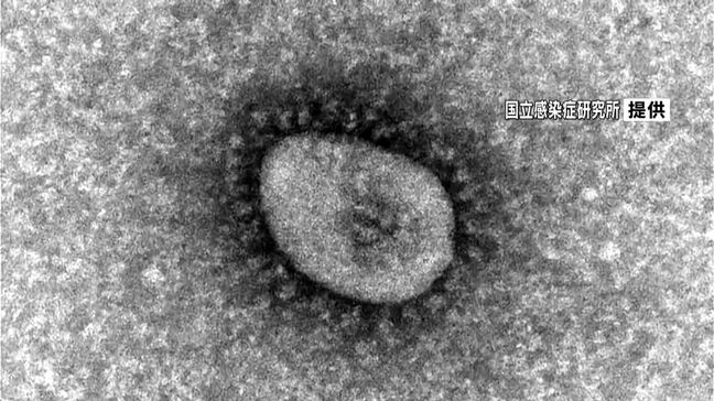 新型コロナ感染者　鹿児島県は4週連続で全国2番目の多さ　高い水準で推移|TBS NEWS DIG