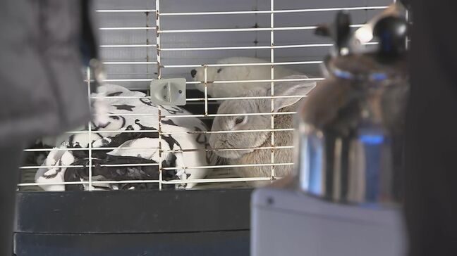 「こんなもの持ってくるやつがいるんだ」 という声が…　ペットと暮らすため車庫で避難生活　実証実験行う市も　　|TBS NEWS DIG