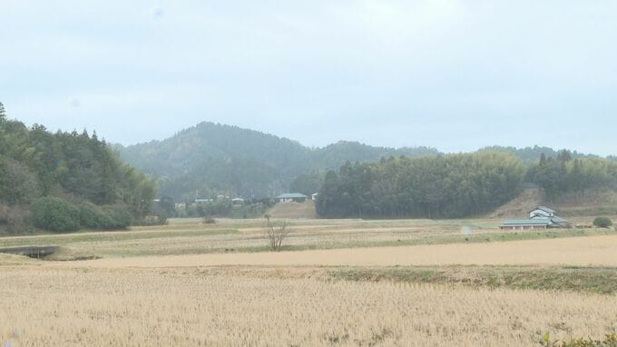 獣に襲われた可能性高い　放鳥ナベヅル１羽が死ぬ　山口・周南　|　山口のニュース・天気・防災｜tys NEWS｜ｔｙｓテレビ山口