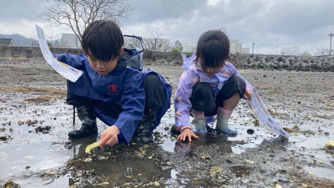 10年以上採れないアサリの復活へプロジェクト　親子が臼杵市の干潟で体験学習　大分　|　大分のニュース｜OBS NEWS｜大分放送