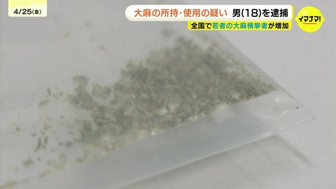 去年12月に施行された改正麻薬取締法 大麻の使用の疑いで男(18)を逮捕　県内で初　麻薬取締部は「徹底的に取り締まる」|TBS NEWS DIG