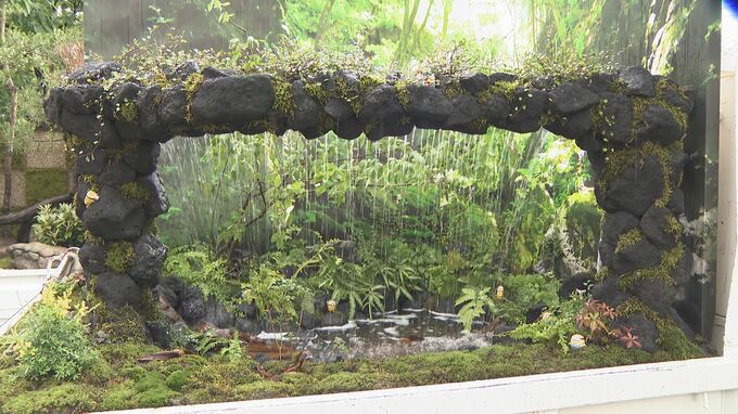舞台は“軽トラの荷台”！わずか2.8㎡に岩山、滝、金魚まで…競う職人技　勝ち抜いたのは？【軽トラ庭園コンテスト】|TBS NEWS DIG
