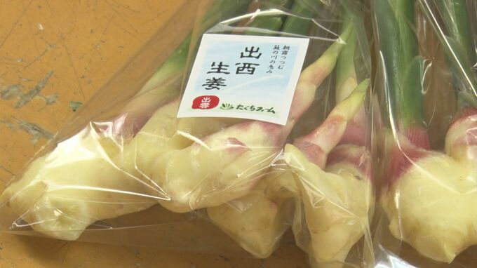 雨降らず…初出荷に影響「出西しょうが」露地ものは葉が枯れたものも…「梅雨の期間の生育がなかった上に終わった瞬間、これだけの酷暑」　|　BSSニュース | BSS山陰放送