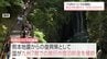 九州ふっこう応援割　宮崎県内分の宿泊予約の受付は今月25日から開始　|　MRTニュース ｜ ＭＲＴ宮崎放送
