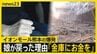 【熊本地震】イオンモール熊本の爆発「娘が戻った理由は“金庫にお金を”」死亡女性の母親が心境吐露　猛暑・断水…さまざまな課題に直面する被災地では【news23】|TBS NEWS DIG