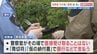 「自転車の反則金、その場で払って」は詐欺です！　広島で「青切符」制度を悪用した事件　熊本県警が注意呼びかけ　|　熊本のニュース｜RKK NEWS｜RKK熊本放送