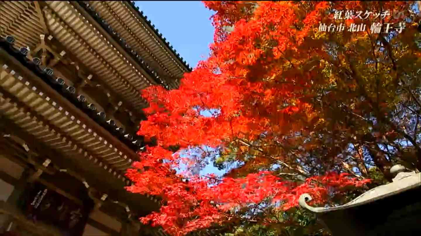 100年受け継がれる庭園」秋深まる輪王寺で紅葉に魅せられて【映像