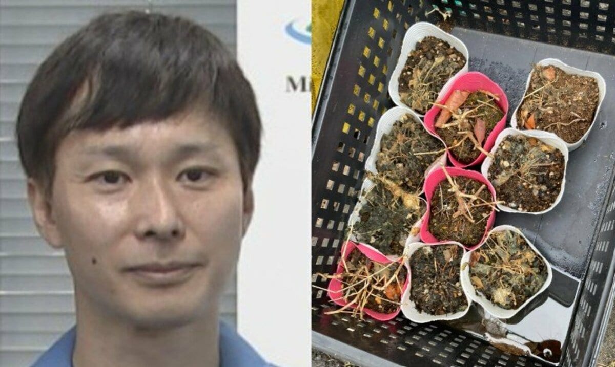 ごみ清掃芸人 】 土の処分について 「時折、集積所に出てきますが