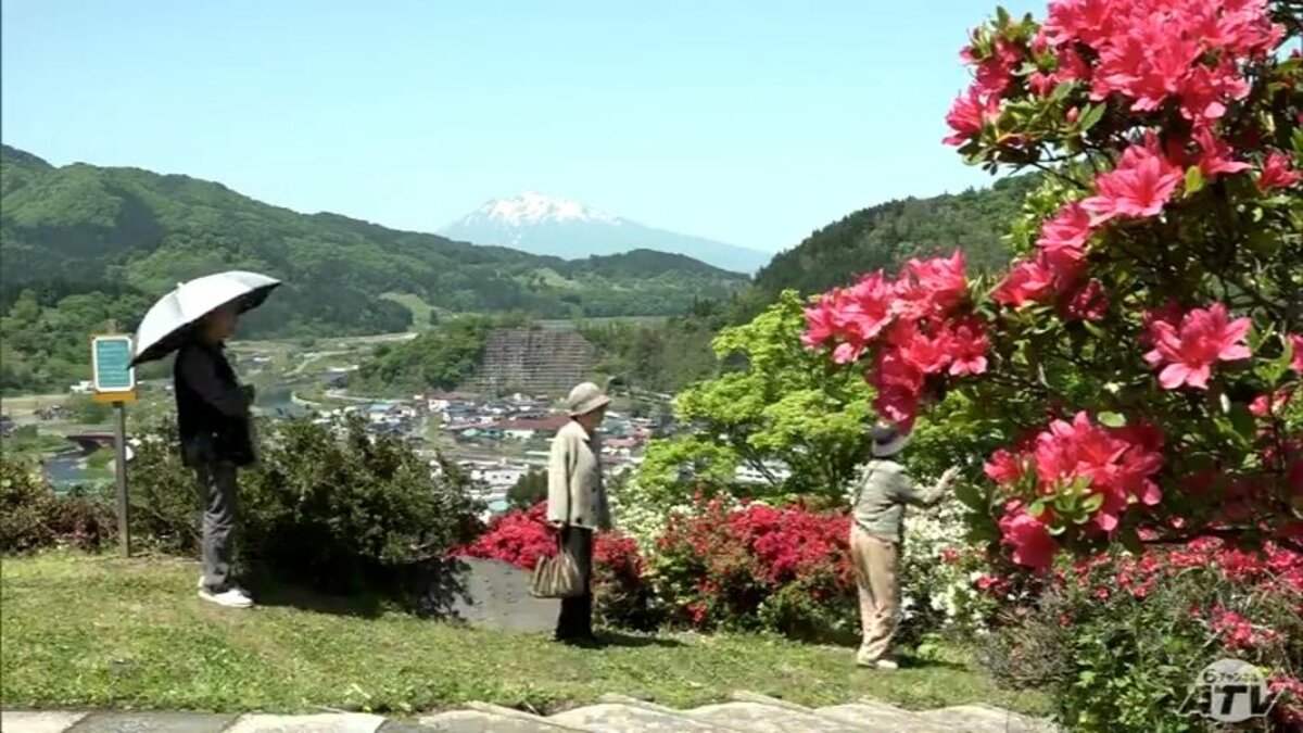 1万5000本のツツジが彩る山からの絶景 「つつじまつり」を前に早咲き