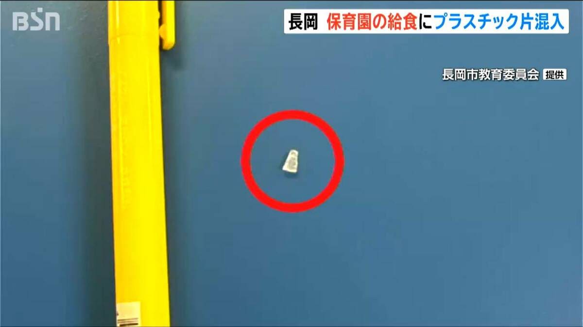 サムネイル_公立保育園給食にプラスチック片混入 調理器具欠損が原因か 健康被害は確認されず 新潟・長岡市
