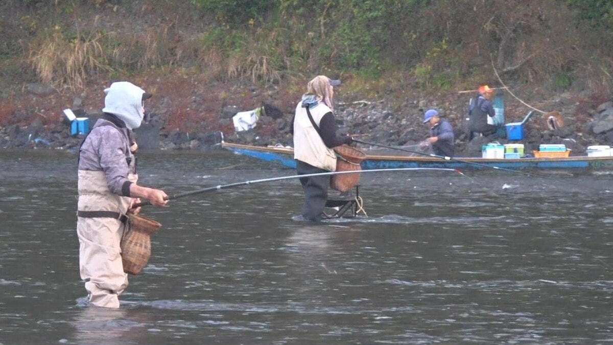 四万十川で“落ちアユ漁”解禁　早朝から大勢の釣り人「きょうのために早く寝たが、楽しみで寝られず⋯」今年はアユの数が豊富【高知】