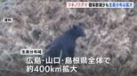 西中国山地のツキノワグマ 推定個体数は約3割減も生息分布は約400キロ平方メートル拡大|TBS NEWS DIG