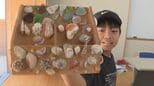 夏休みの宿題に！海でとれた貝殻で「自分だけ」のアクセサリー作り　山口・萩|TBS NEWS DIG