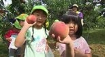 「ガブッ！と食べたい…」園児たちが信州・須坂市生まれの品種「ワッサー」収穫体験…モモとネクタリンのかけ合わせ「食べ物への感謝の気持ちを育んでほしい…」|TBS NEWS DIG