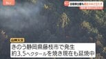 自衛隊の大型ヘリコプター2機出動も鎮圧のめど立たず　静岡・藤枝の山林火災|TBS NEWS DIG