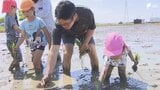 田植えを園児たちが体験 丁寧に一つ一つ 終わったあとは「泥遊び」＝静岡・袋井市|TBS NEWS DIG