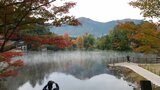 まもなく本格的な紅葉シーズン到来 大分県内の名所 見ごろは? | 大分のニュース|OBS NEWS|大分放送