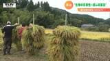 「2、3日でやられた」50年放置された“田んぼ”復活させたら“イノシシ”のたまり場に… | 山形のニュース│TUYテレビユー山形