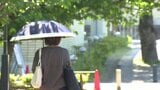 11日の愛媛県内は初夏の陽気 大洲で26.6度など夏日を観測|TBS NEWS DIG