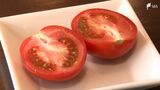 加熱するとさらにおいしく…静岡・伊東産“ブランドトマト”全国へ「観光地の食をもっと盛り上げたい」|TBS NEWS DIG