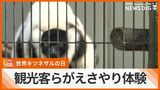 「世界キツネザルの日」にエサやり体験 観光客らがふれあい楽しむ ネオパークオキナワ | 沖縄のニュース|RBC 琉球放送