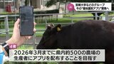 牛の個体をAIで識別 宮崎大学などのグループがアプリを開発へ 農家の負担軽減や防疫対策の強化に期待|TBS NEWS DIG