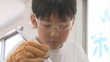 自由研究はビスマス!?小学校1年生でビスマスと出会い科学への興味はどんどん広がり…日本語名で蒼鉛と呼ばれる希少金属・レアメタルに夢中の小学生「価値が高いしキラキラしてて良いから」島根・松江市　|　BSSニュース | BSS山陰放送