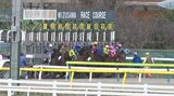 待ちわびたファンが長蛇の列 岩手競馬が今シーズン開幕 水沢競馬場のレース観戦に大勢の人|TBS NEWS DIG
