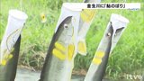 「こいのぼり」ならぬ「あゆのぼり」でアユが遡上する川の魅力発信 愛媛 | 愛媛のニュース - Nスタえひめ|あいテレビは6チャンネル