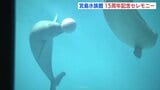 リニューアル15周年 サンリオとのコラボ企画も 宮島水族館 広島|TBS NEWS DIG