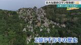 太古の歴史を感じる自然の神秘『大石林山』の魅力に迫る 歴史が刻まれた多くの自然 | 沖縄のニュース|RBC 琉球放送