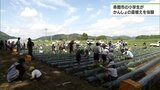 串間市で小学生が「かんしょ」の苗植え体験|TBS NEWS DIG