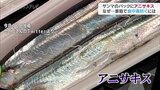 サンマのパックに大量のアニサキス…なぜ 家庭での食中毒防ぐには 富山 | 富山のニュース|天気・防災|チューリップテレビ