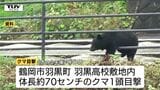 付近に潜んでいる可能性も...鶴岡市の高校敷地内でクマ目撃　月別のクマの目撃件数は？（山形）|TBS NEWS DIG
