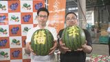 2玉で20万円! 能登半島地震の復興願い「福幸」と名づけたスイカが初競り|TBS NEWS DIG