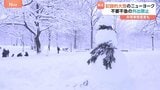 アメリカ・ニューヨークで“10年に一度の大雪”　セントラルパークでスノーボードも　航空便7700以上が欠航の見通し|TBS NEWS DIG