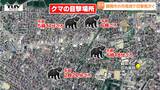 付近に潜んでいる可能性も...鶴岡市の市街地でクマの目撃相次ぐ　複数の個体が出没した可能性（山形）|TBS NEWS DIG