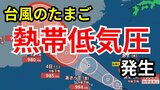 【台風情報】台風のたまご「熱帯低気圧」が発生 24時間以内に台風に発達する見込み 10月1日~17日までの16日間天気予報 シミレーションをみる【いまどこ?今後の進路は?気象庁 午後7時10分発表】|TBS NEWS DIG