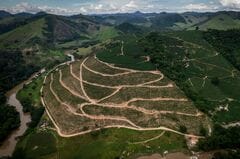 アラビカ豆が13年ぶり高値、ブラジルの供給や来季収穫に懸念高まる| TBS CROSS DIG with Bloomberg