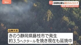 自衛隊の大型ヘリコプター2機出動も鎮圧のめど立たず　静岡・藤枝の山林火災|TBS NEWS DIG