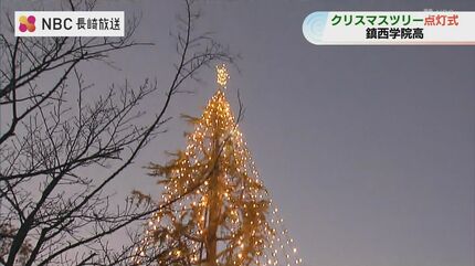 冬の風物詩 鎮西学院高校でクリスマスツリー点灯式 約16mのヒマラヤ杉