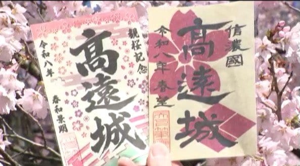 【お花見客の分散化】新アイデア！お城版の御朱印が登場！平日限定「御城印」も…「天下第一の桜」長野・高遠城址公園でタカトオコヒガンザクラ満開　|　SBC NEWS | 長野のニュース | SBC信越放送