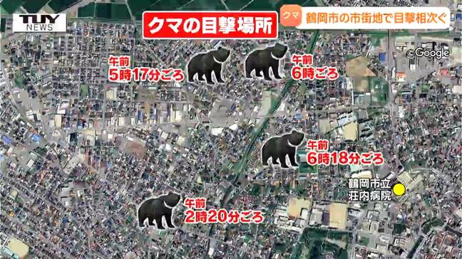 付近に潜んでいる可能性も...鶴岡市の市街地でクマの目撃相次ぐ　複数の個体が出没した可能性（山形）|TBS NEWS DIG