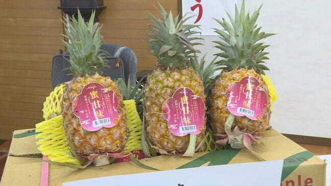 芯まで食べられる台湾産パイナップル　児童養護施設に寄贈　山口|TBS NEWS DIG